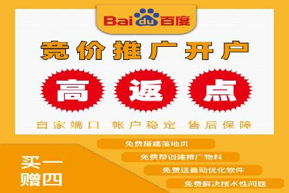 优化SEM竞价策略：成功案例剖析